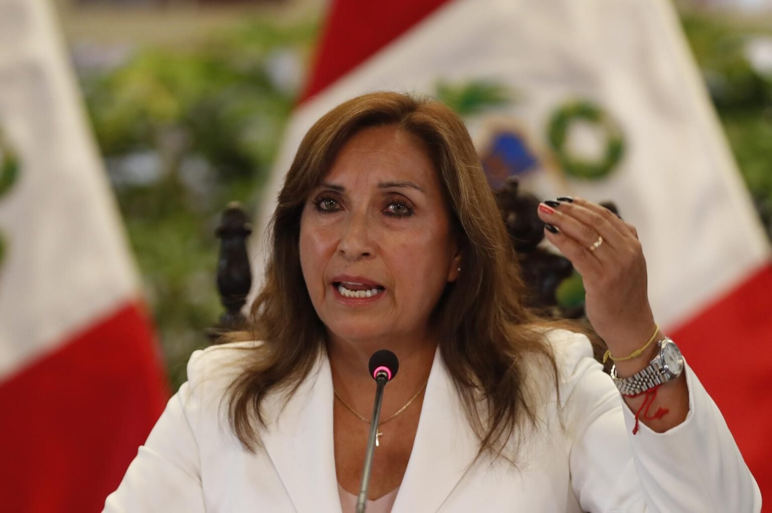 Perú plantea que la OEA declare organización terrorista internacional al Tren de Aragua