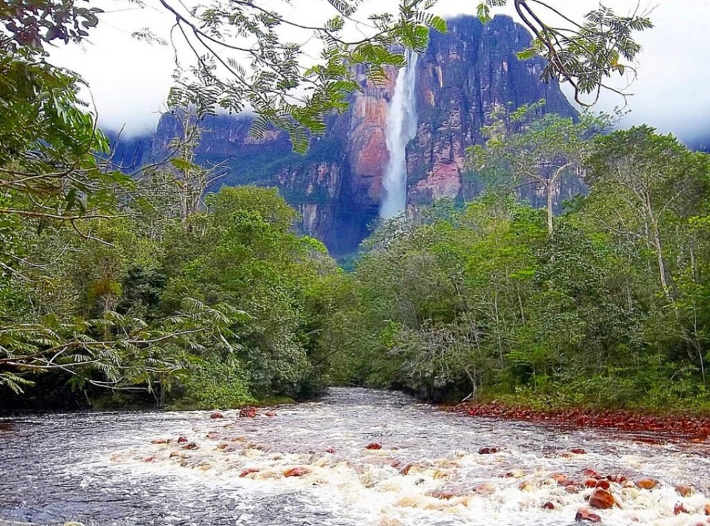 Unesco evaluará daños por minería ilegal en Canaima