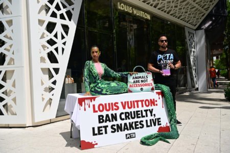 ¿Por qué PETA protestó en una tienda de Louis Vuitton en Miami?