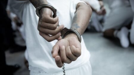 Gobierno Trump responde al régimen de Venezuela en caso de niña cuyos padres fueron deportados y a quienes señala de ser integrantes del Tren de Aragua