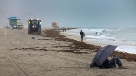 Se viene la temporada de huracanes en Florida: meteoróloga explica las principales recomendaciones