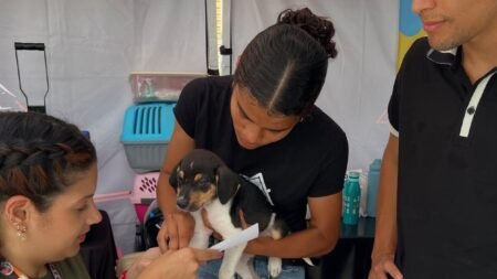 Refugio de canino en Caracas busca nueva sede tras brutal agresión sexual contra una voluntaria