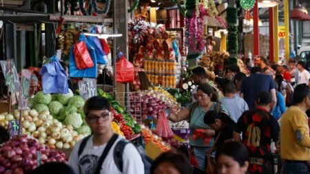 Régimen de Maduro publicará esquema de precios para productos esenciales