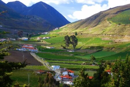 La RAE incorpora la palabra «gocho» en su diccionario