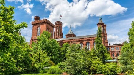 Cultura, historia y entretenimiento: los mejores planes totalmente gratis en Washington DC