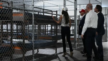 “Muchos venezolanos acabarán en ‘Alligator Alcatraz'”: Adelys Ferro sobre la polémica cárcel para migrantes del Gobierno Trump