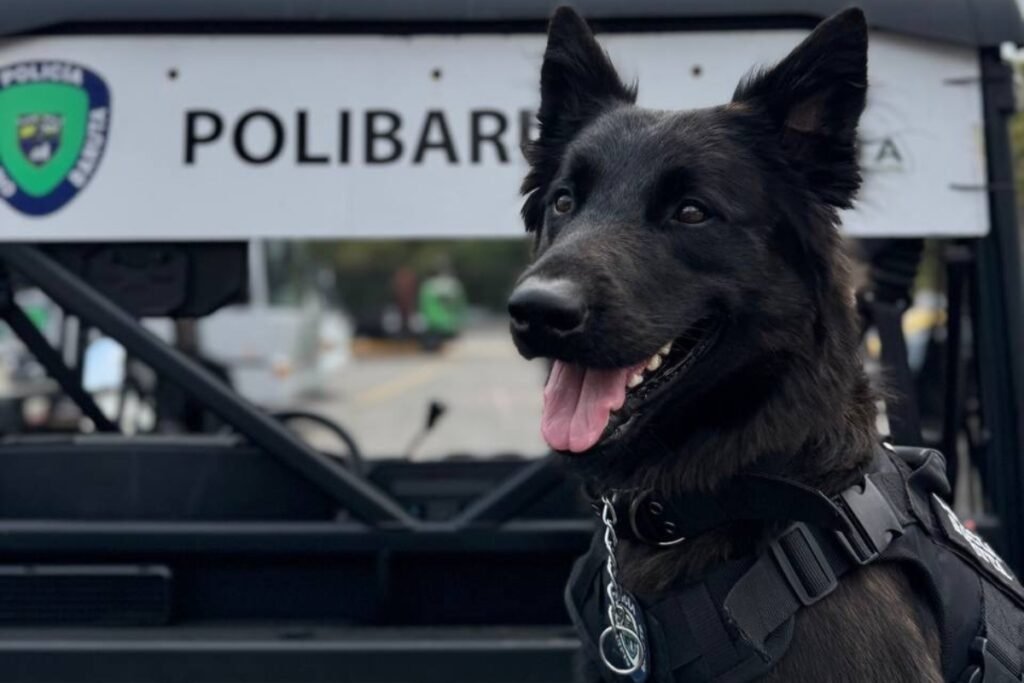 Baruta reforzó seguridad con nueva Brigada Canina