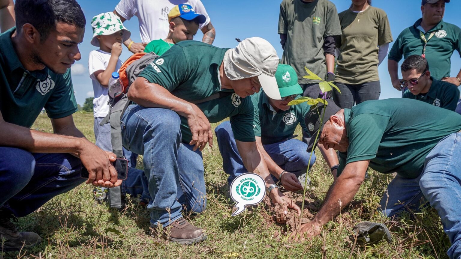 Plantan 1200 árboles autóctonos para recuperar zonas en Cojedes