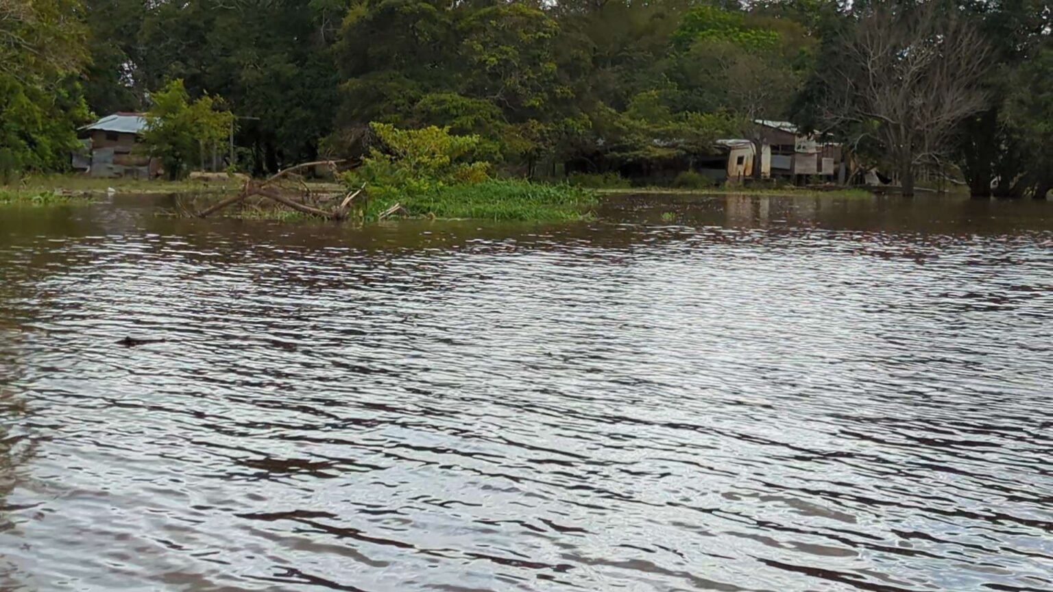 Familias se desplazan en busca de refugios por crecida del río Orinoco