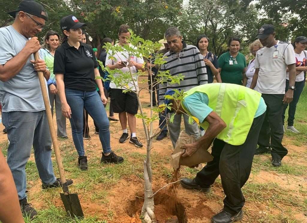 Desplegaron jornada de reforestación en el Henri Pittier