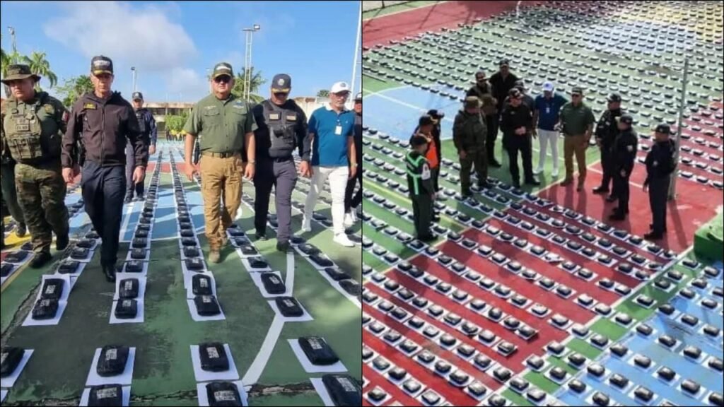 Más de tres toneladas de marihuana fueron incautadas en sendos operativos de Apure y Falcón