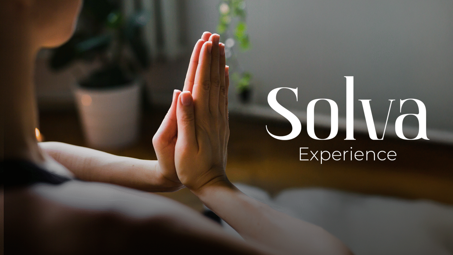 una tarde dedicada al bienestar