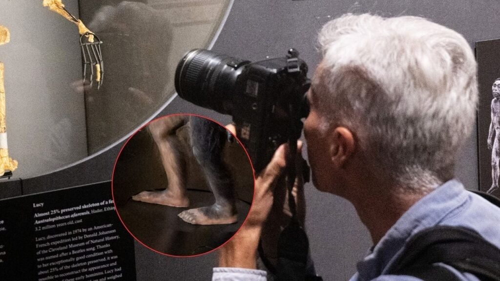 Así se vio por primera vez la exposición de los fragmentos de un ancestro humano de más de 3 millones de años en un museo europeo