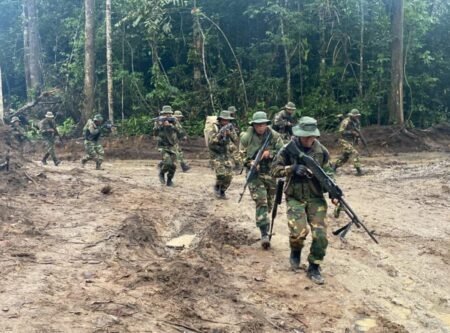 La FANB destruyó un campamento de minería ilegal en Amazonas
