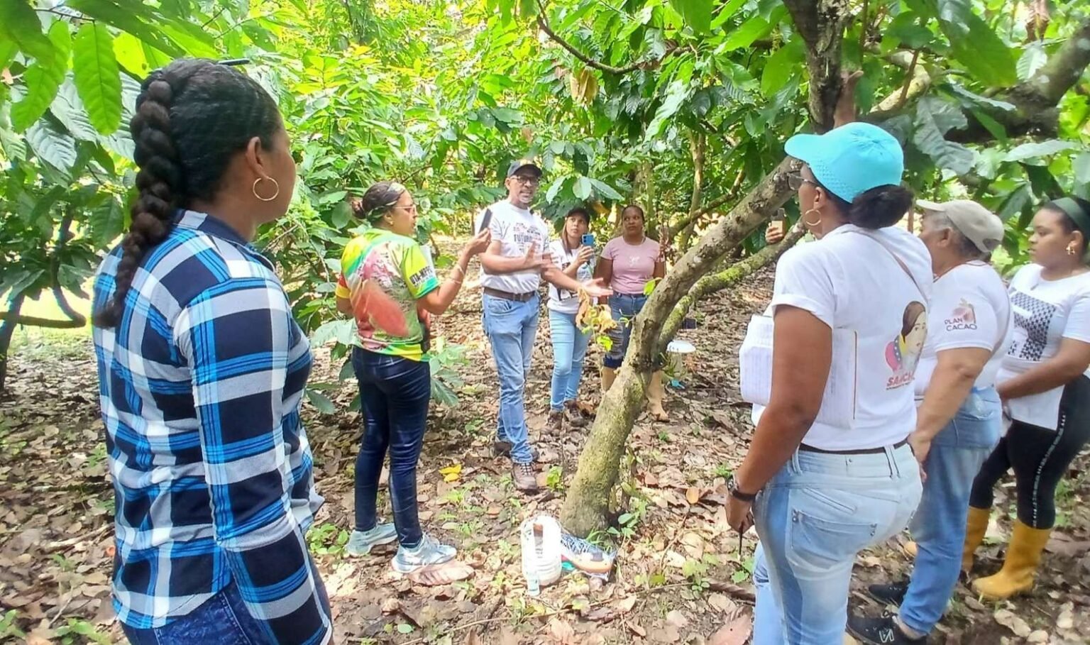Comunas de Barlovento realizan diplomado sobre sistema sostenible de cacao
